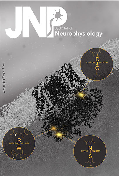Journal of Neurophysiology Cover
