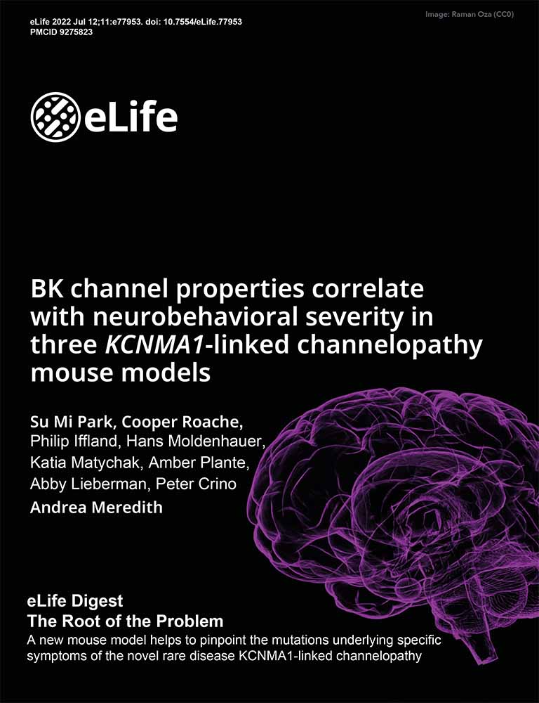 eLife cover