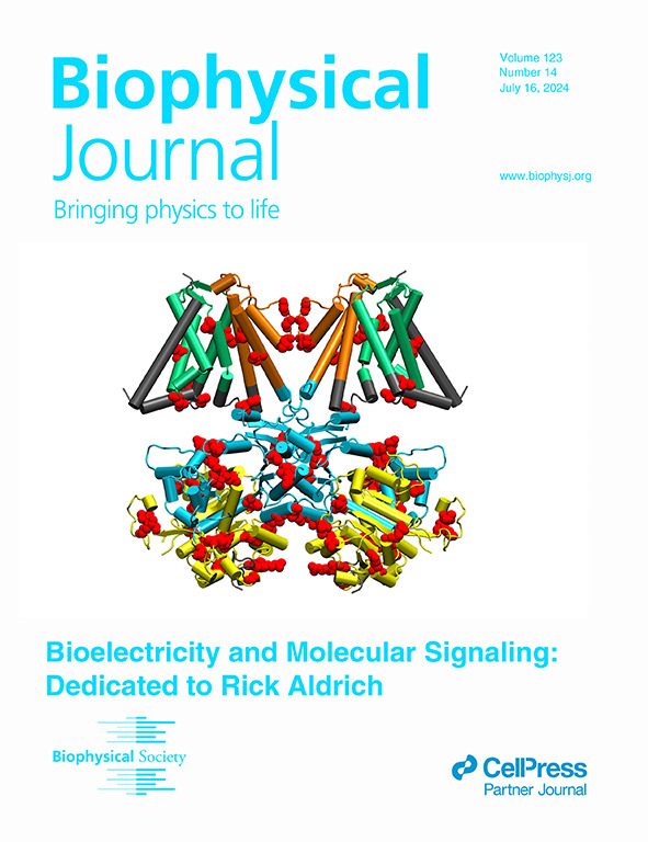 2024 KCNMA1 Channelopathy Cover